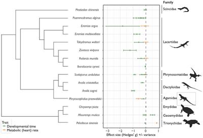 Corrigendum: Countergradient Variation in Reptiles: Thermal Sensitivity of Developmental and Metabolic Rates Across Locally Adapted Populations